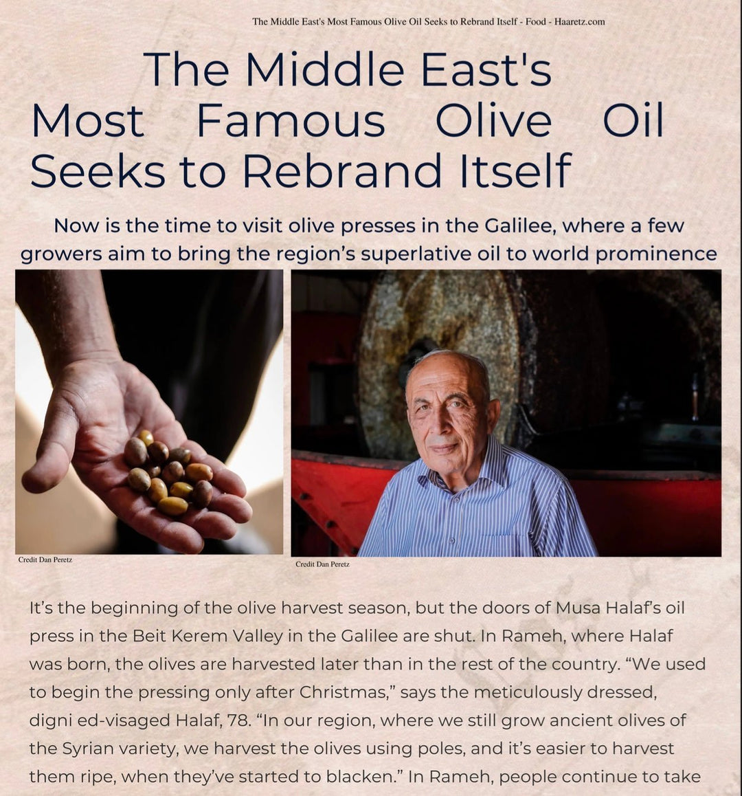 Middle East Most Famous Olive Oil Article in Haaretz